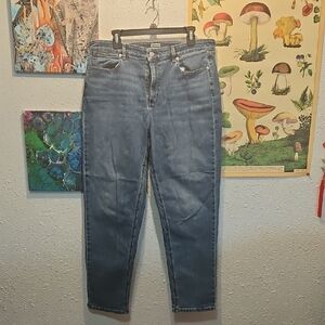 L.L. Bean Women's Straight Leg Jeans in Blue 16